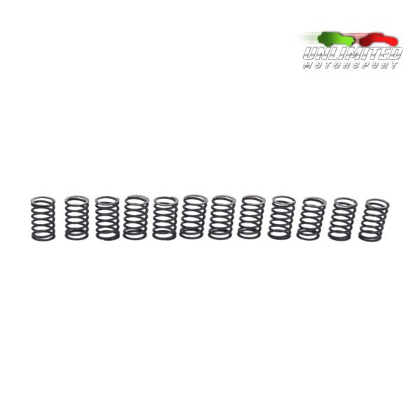 Arcuri supape M57 upgrade