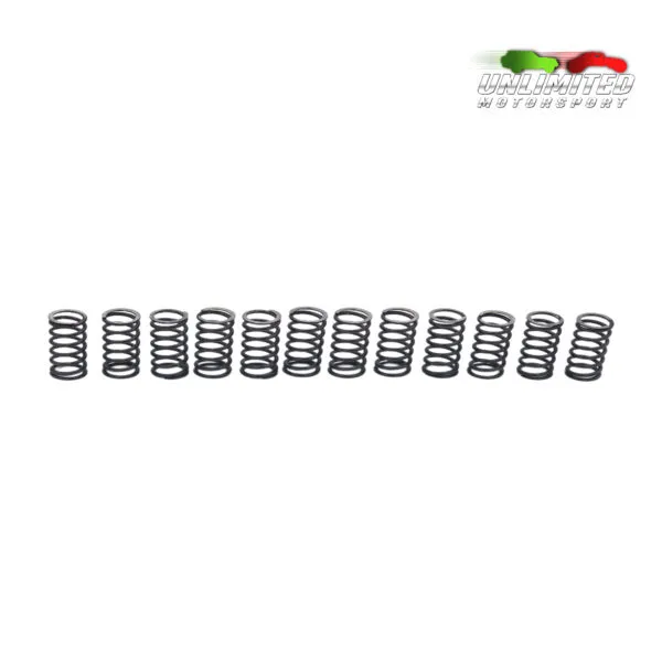 Arcuri supape M57 upgrade
